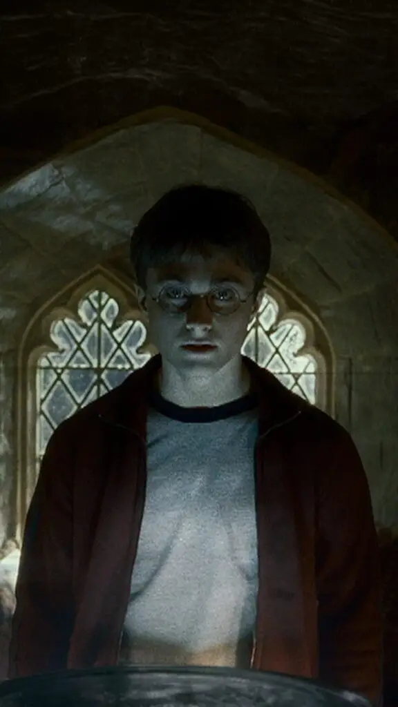 Harry Potter and the Deathly Hallows Pt 1