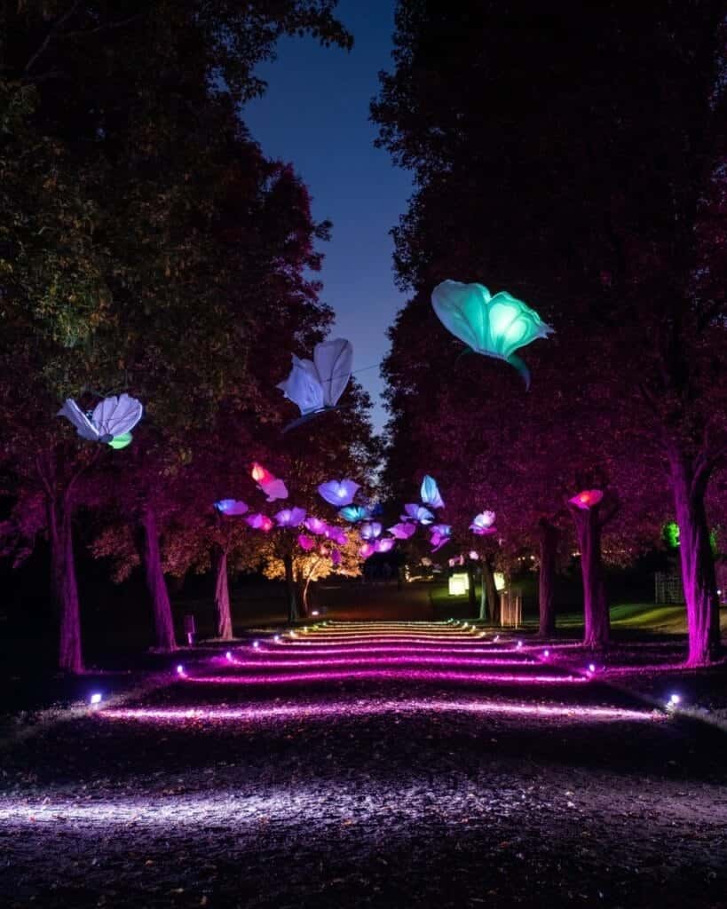 Ashton Court’s ‘Light Up Bristol’