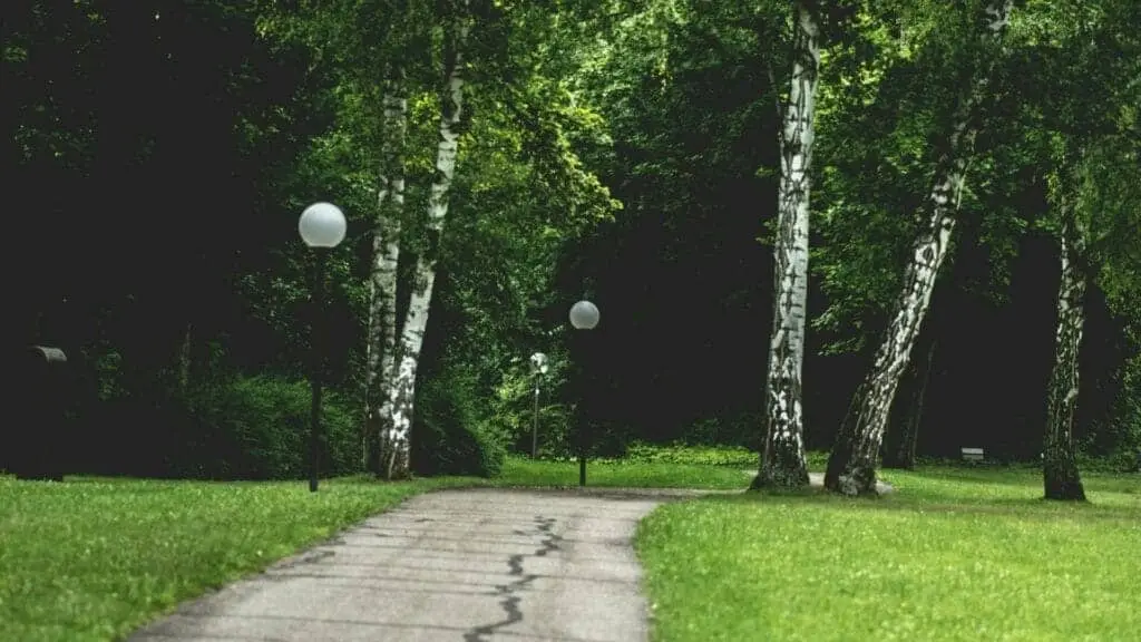 The park in nottingham