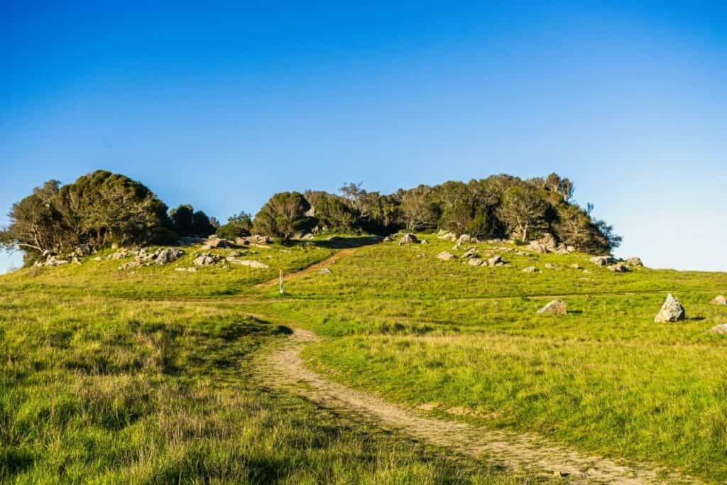 Walk the Downs