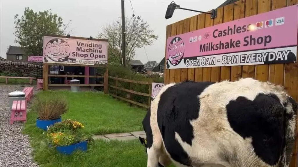 Our Cow Molly