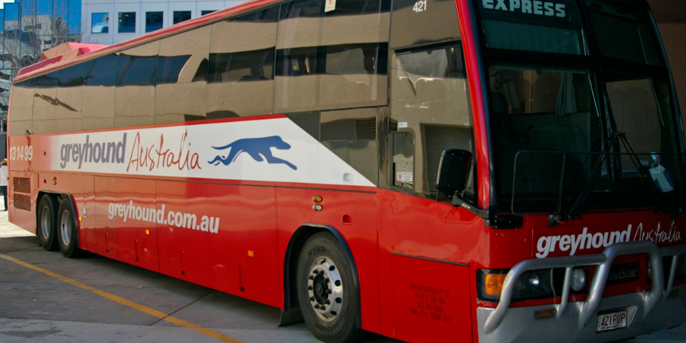 Greyhound Australia student discount