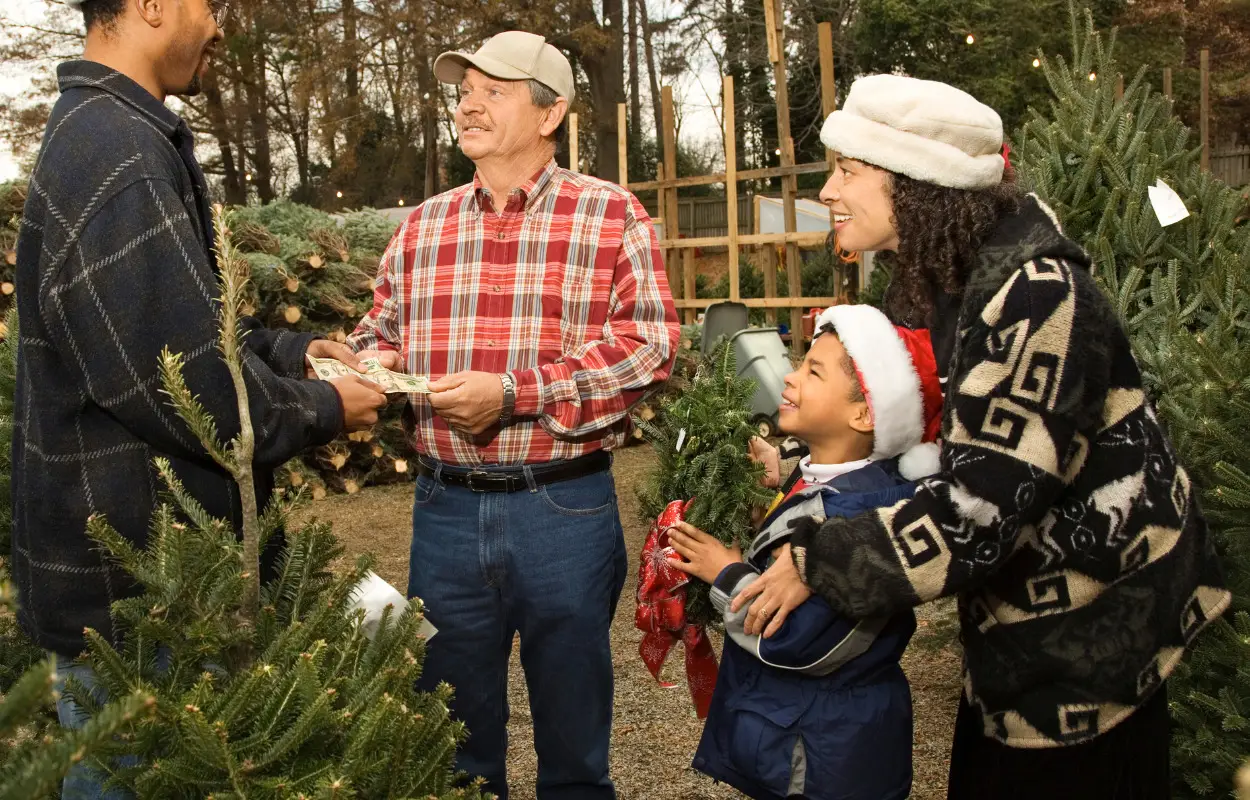 Selling Christmas trees for a job