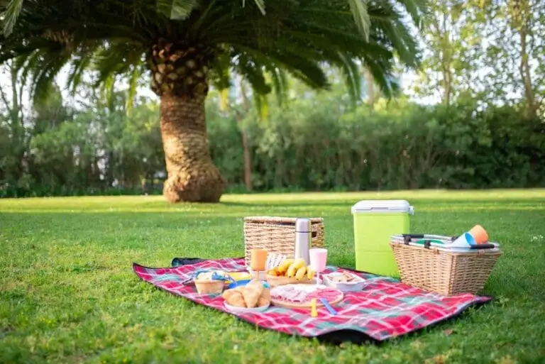 6 best picnic spots in Sheffield