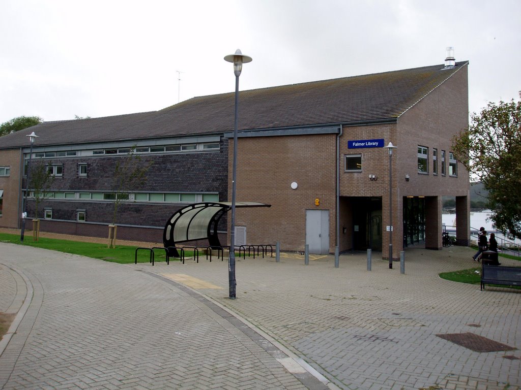 Falmer Library Brighton