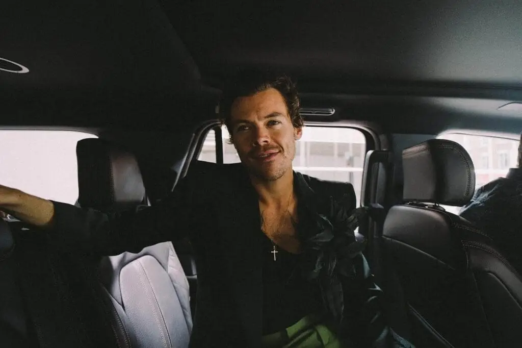 Who is Harry Styles?