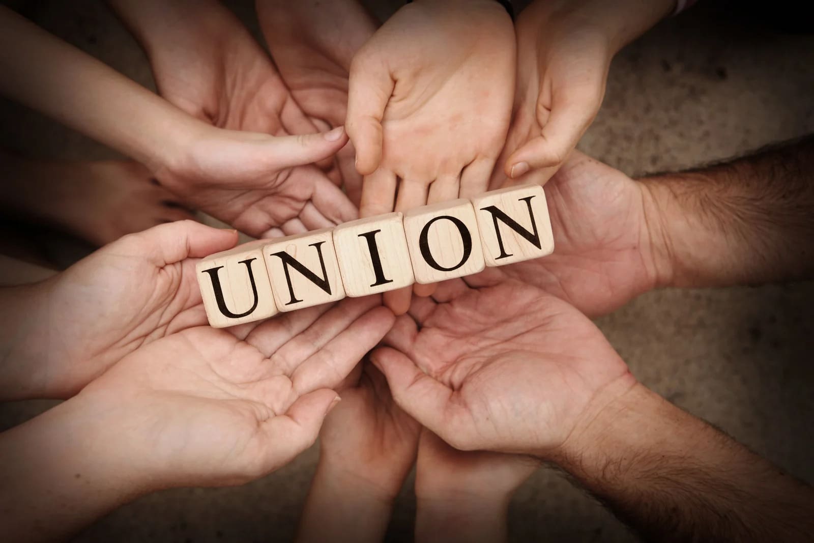Everything you need to know about Westminster Student Union