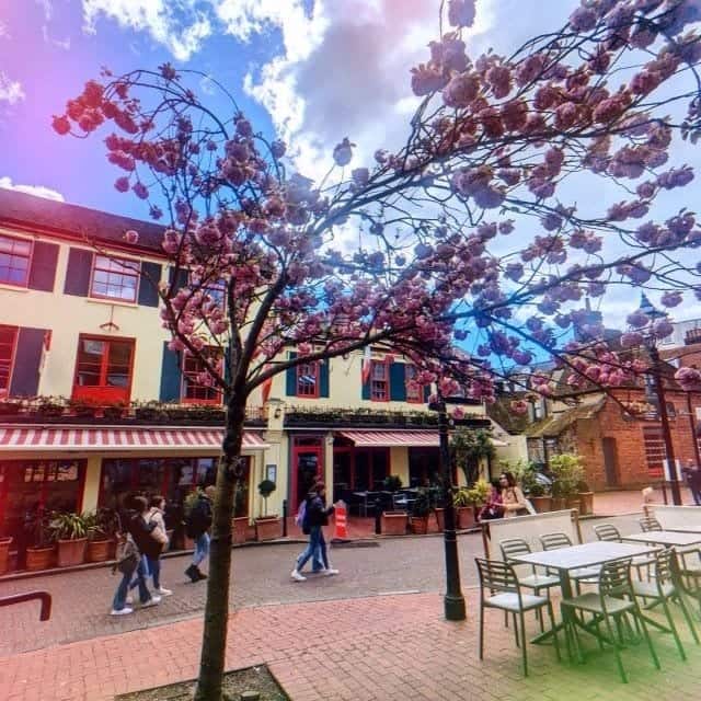 Best restaurants in Brighton