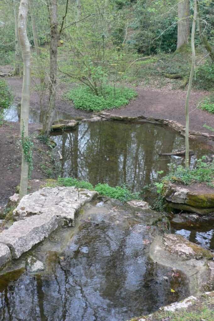 Abbots Pool