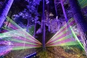 5 Christmas light shows in Edinburgh