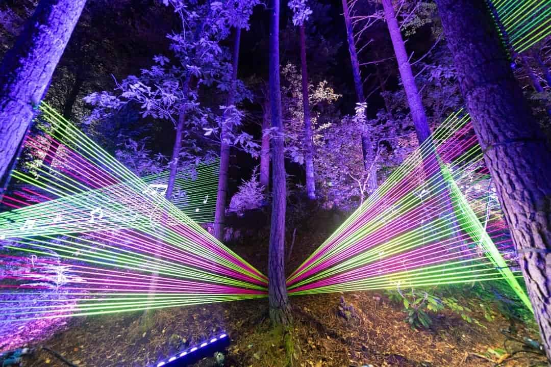 5 Christmas light shows in Edinburgh