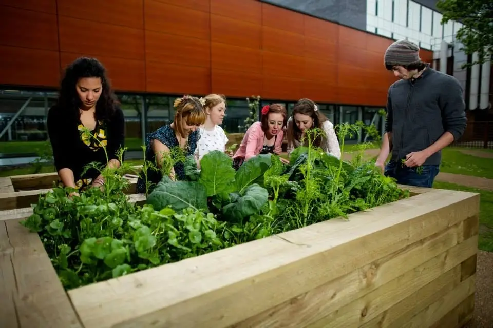 Gardening Society – Manchester Metropolitan University