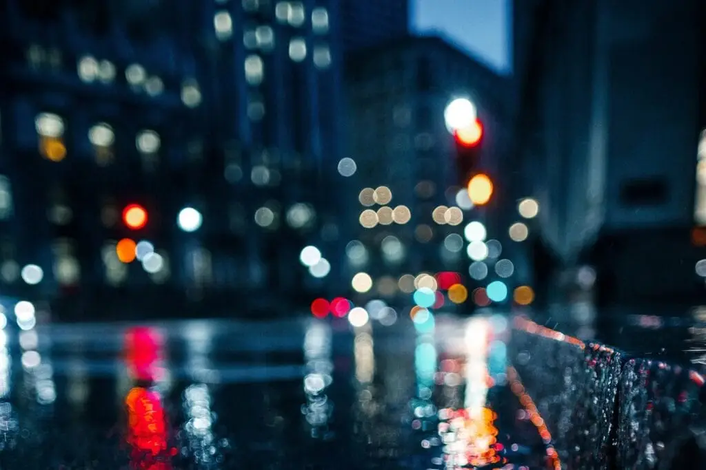 The Nightlife