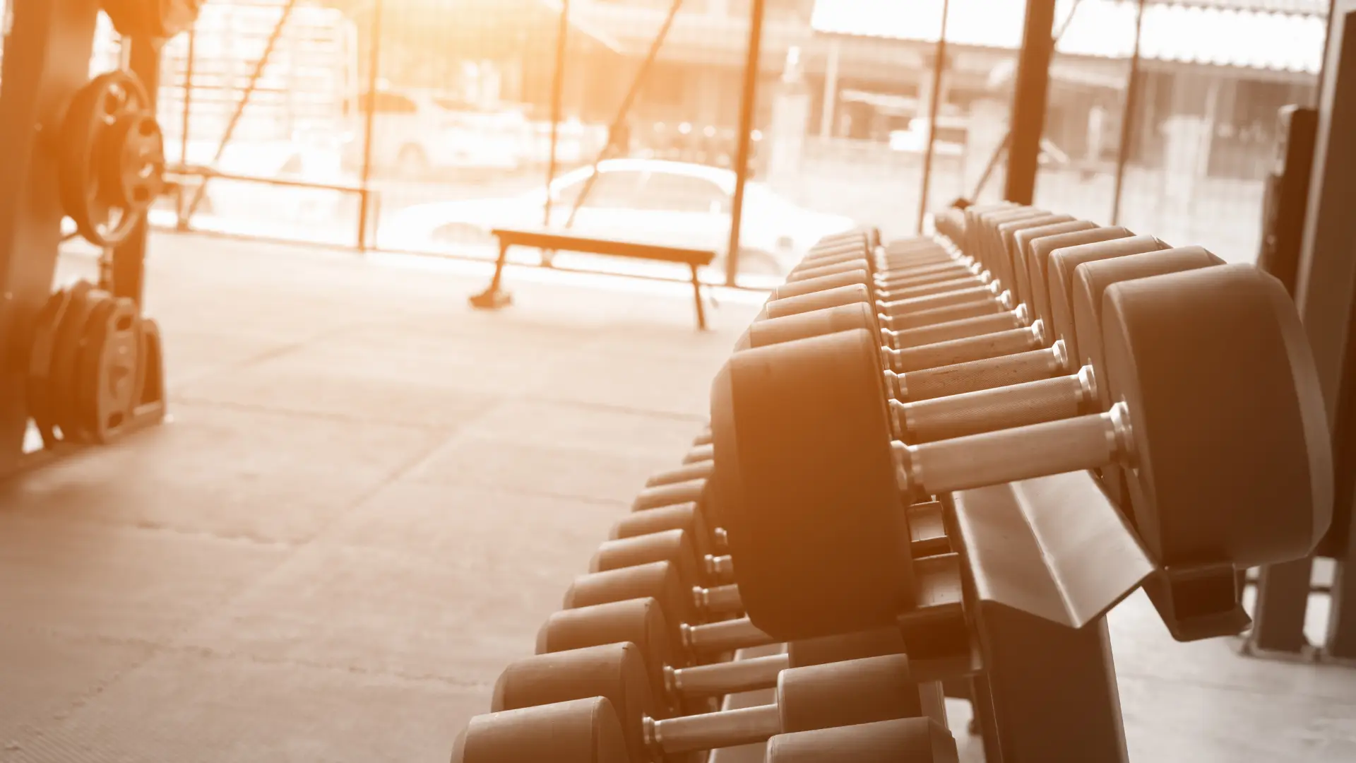 The best student gym memberships in Nottingham Pure Gym Nottingham, best student gym memberships in Nottingham