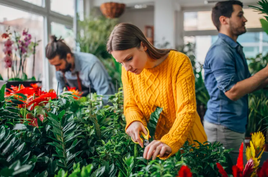 These are the Pros and Cons of taking a gap year during university Cons of taking a gap year during university