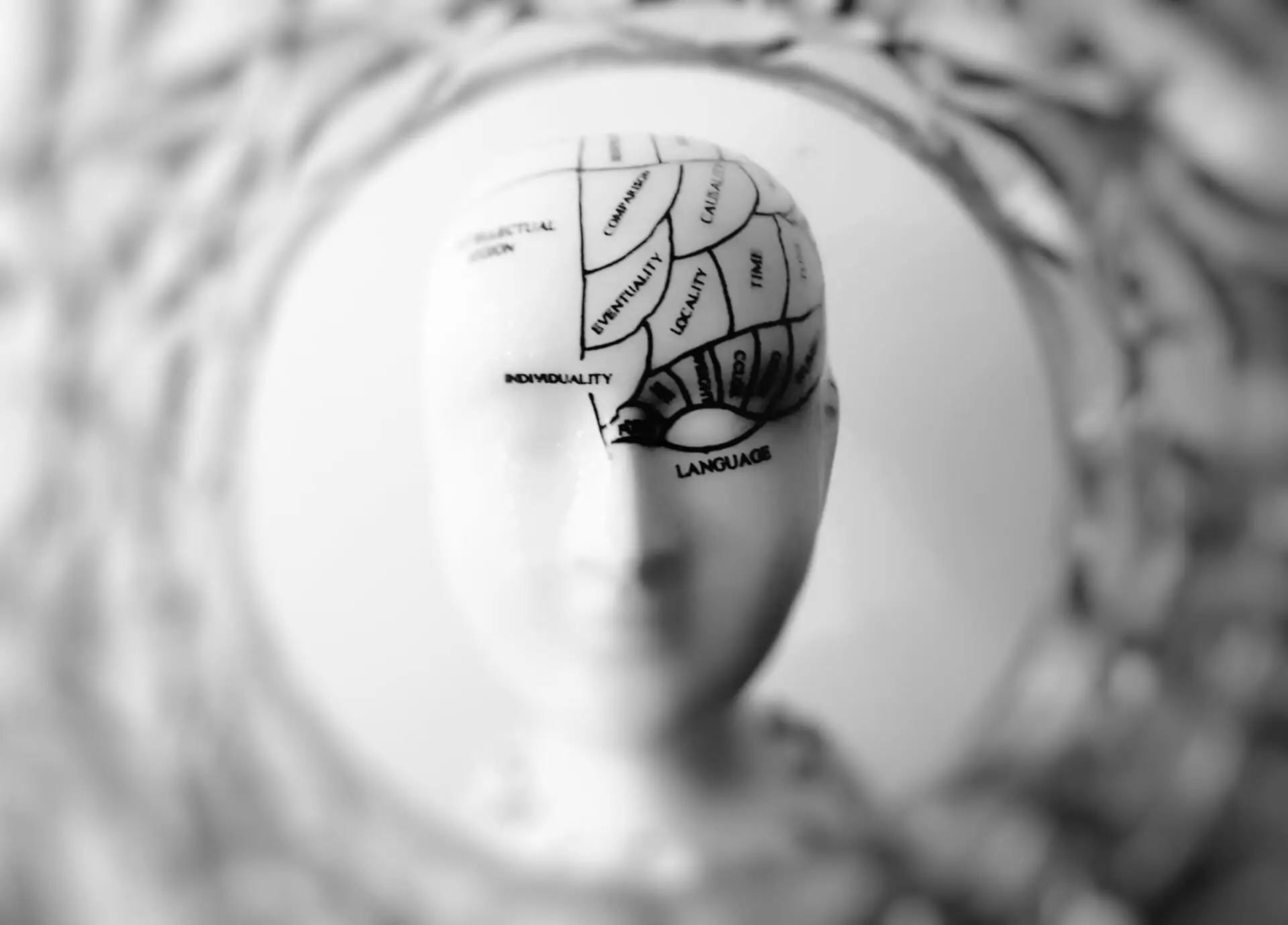 What your degree says about you What your degree says about your personality- psychology