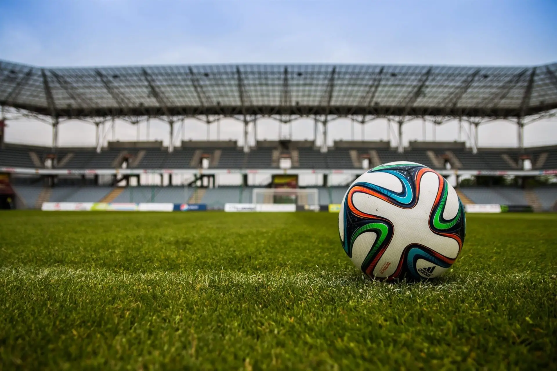What your degree says about you What your degree says about your personality- sports science