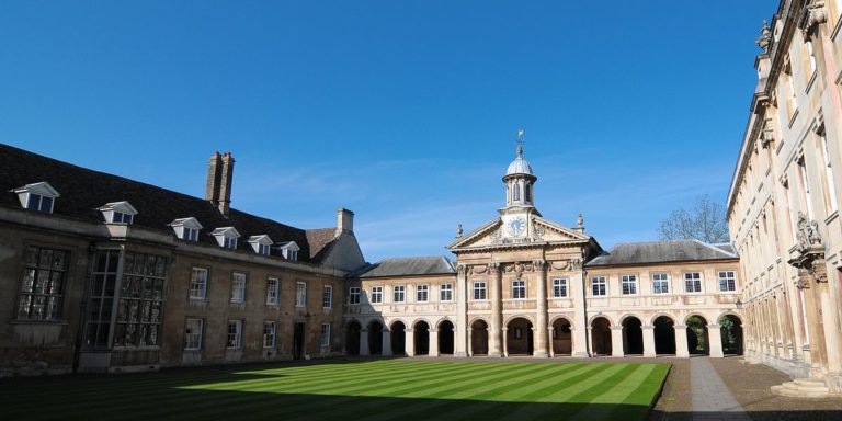 The most common universities and degrees among the rich and the famous revealed