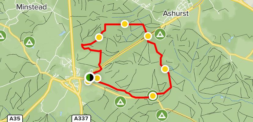 lyndhurst walk