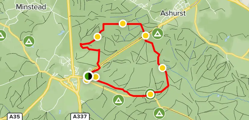 lyndhurst walk