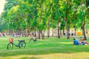 The advantages and disadvantages of being a mature student