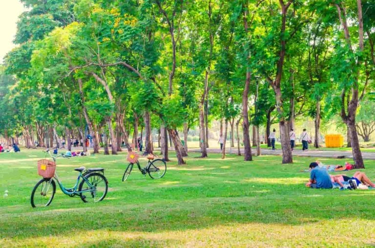 The advantages and disadvantages of being a mature student