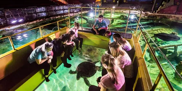 Sea Life CEntre Brighton birthday