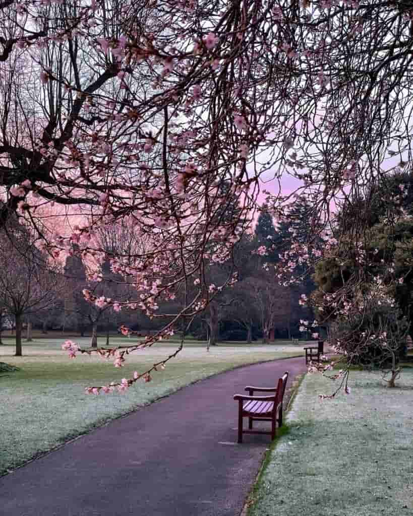 Victoria Park