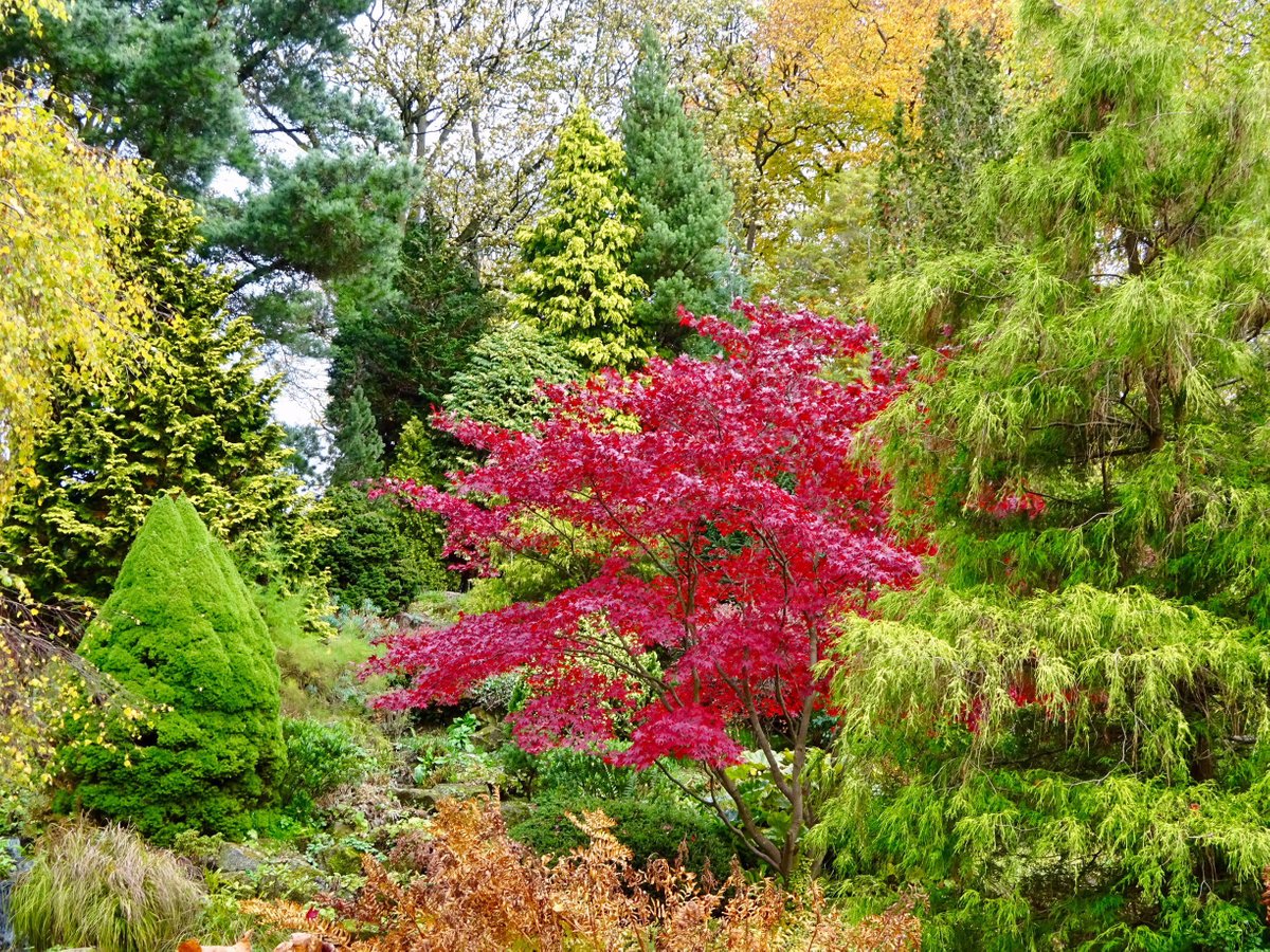 The best picnic spots in Manchester, revealed! Unifresher