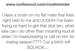 outrageous university of westminster confessions