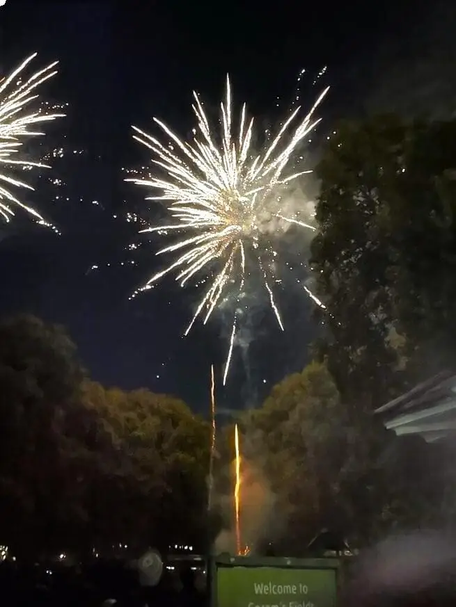 Coram's Fields fireworks display