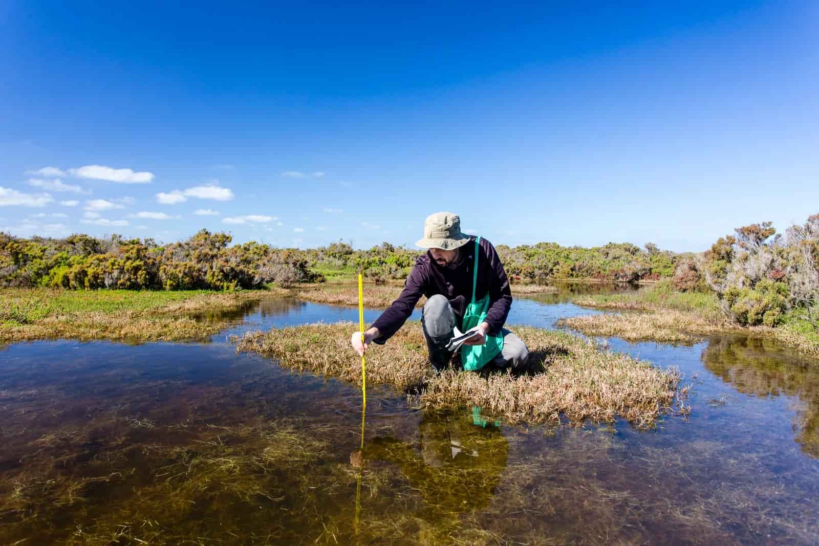 A student's guide to jobs in sustainability