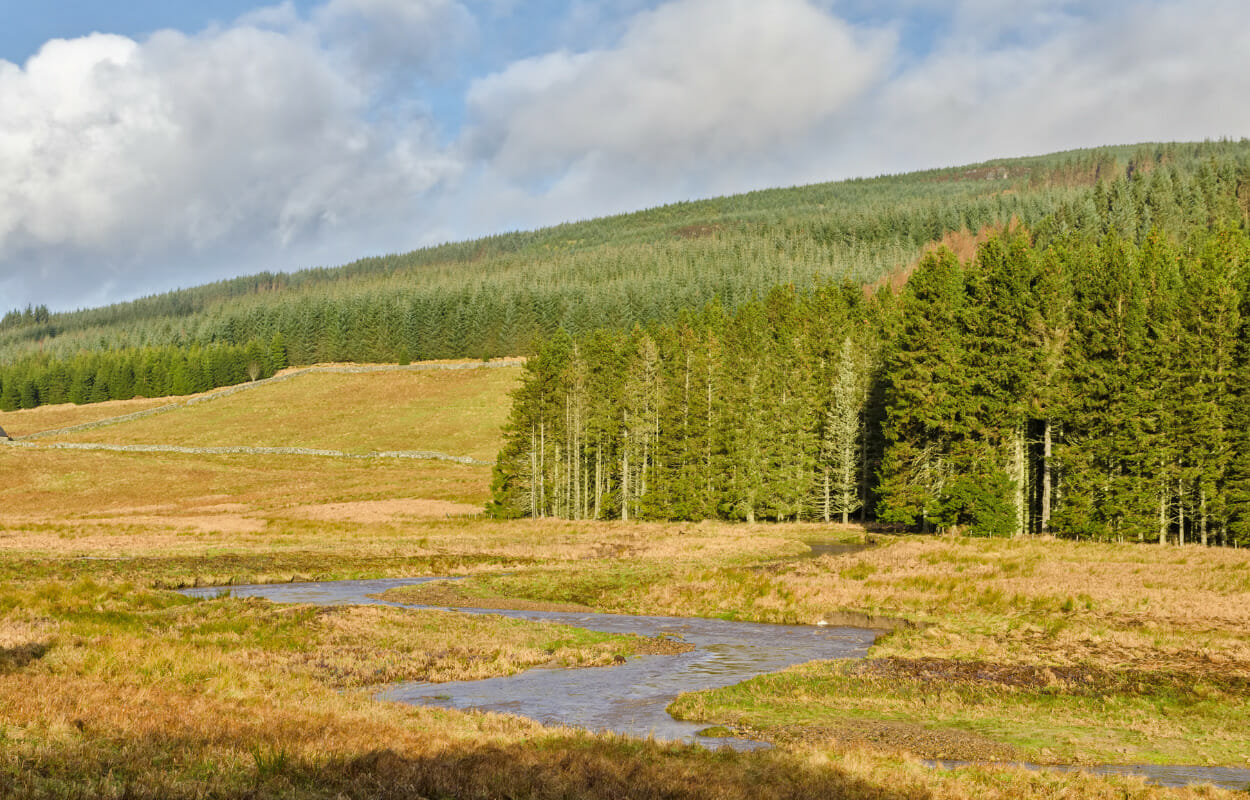 The best day trips from Newcastle Unifresher