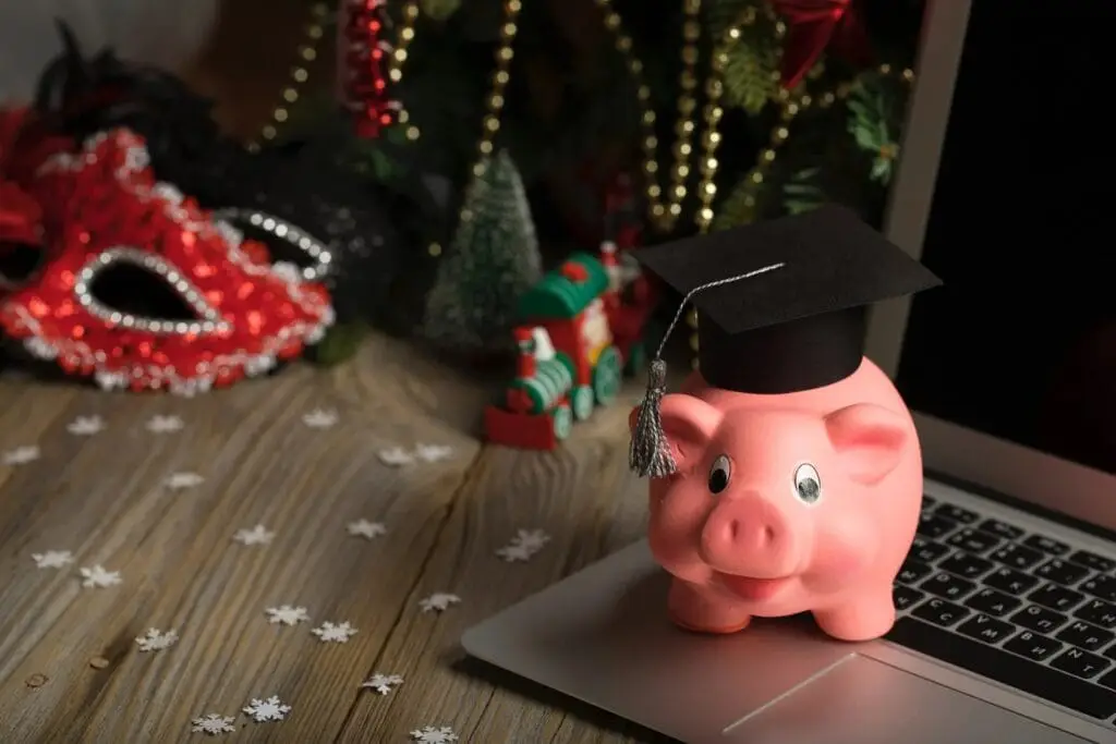 The UK Student Loan System