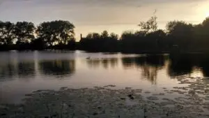 5 wild swimming spots near Manchester you have to try!