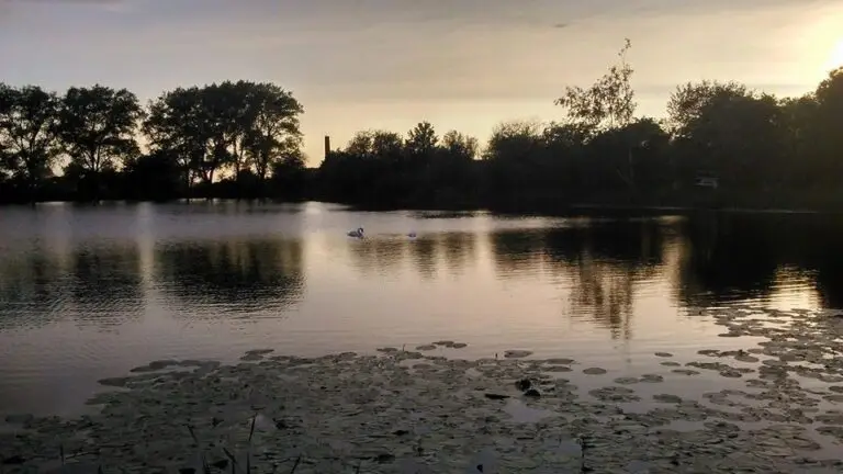 5 wild swimming spots near Manchester you have to try!