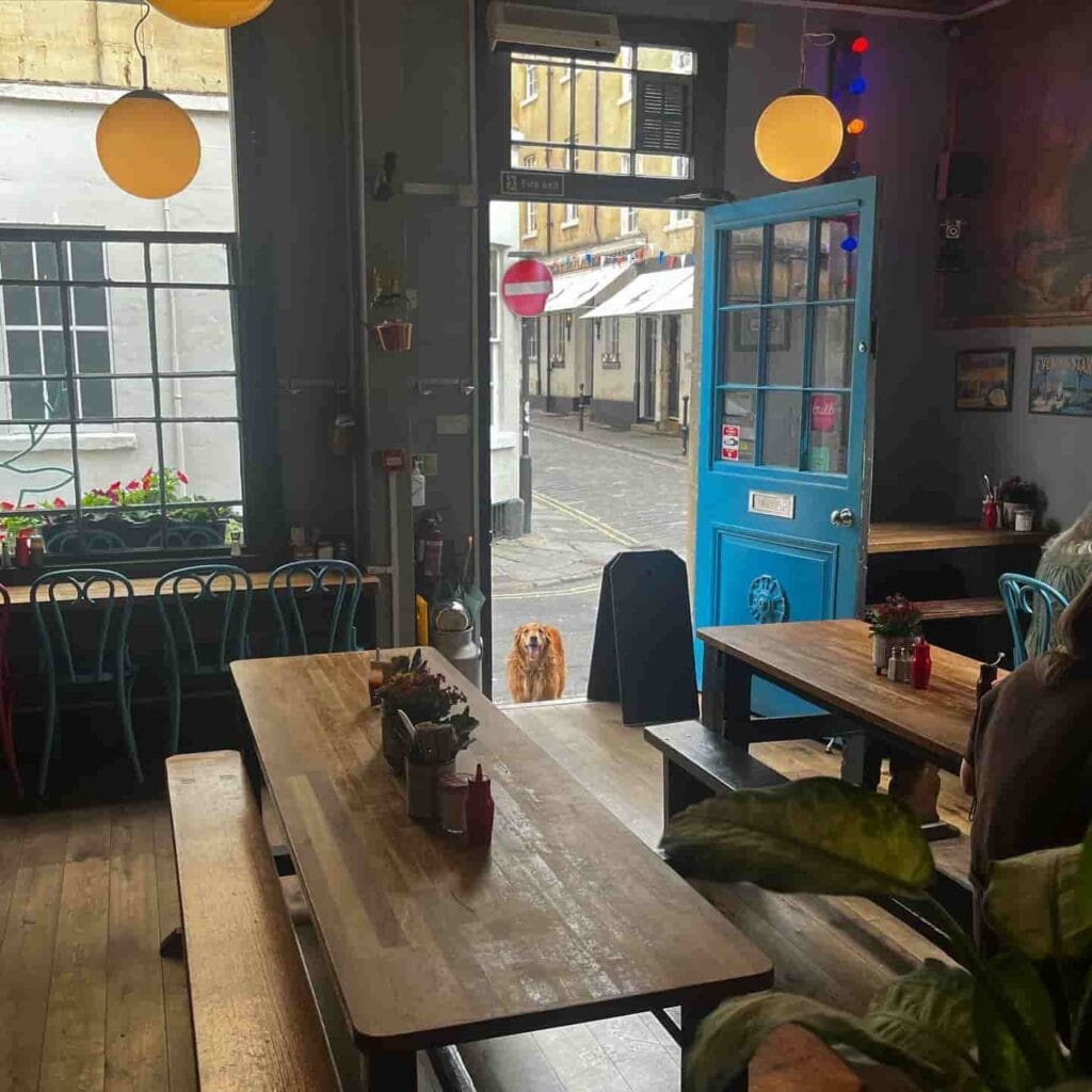 Wild Cafe Bath best coffee shops to study in