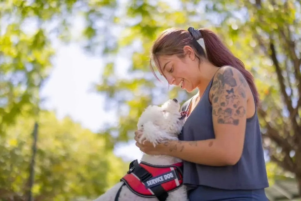 Offer a 'Rent My Dog' service
