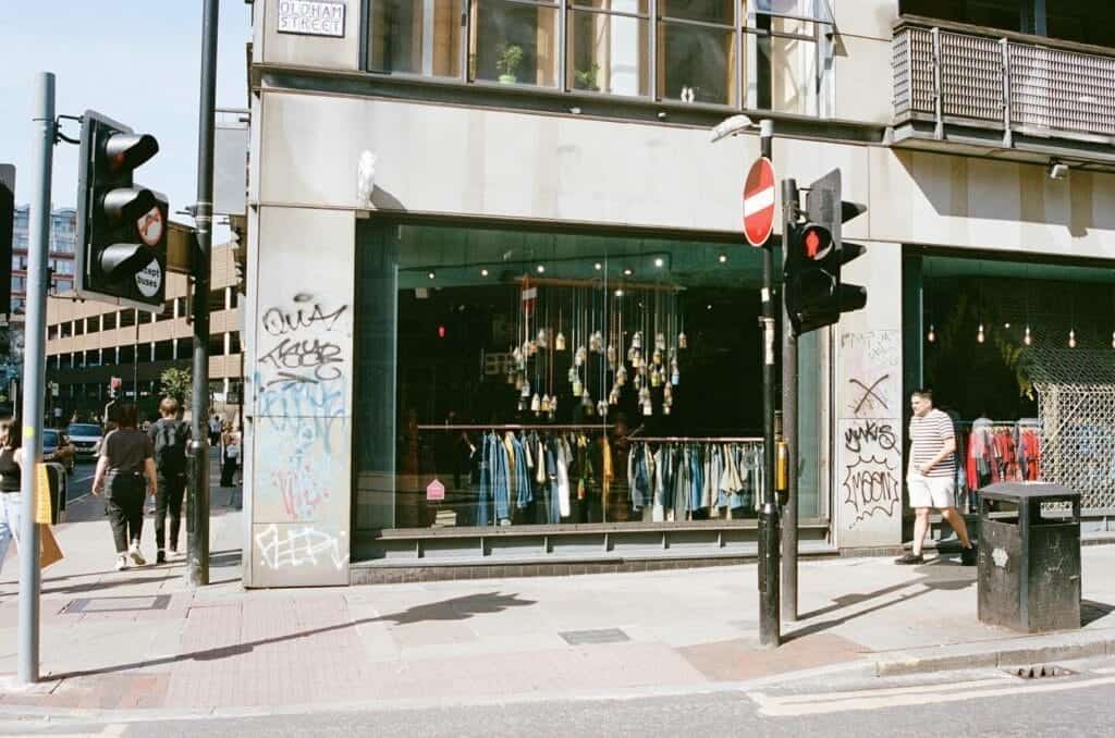 Cow Vintage