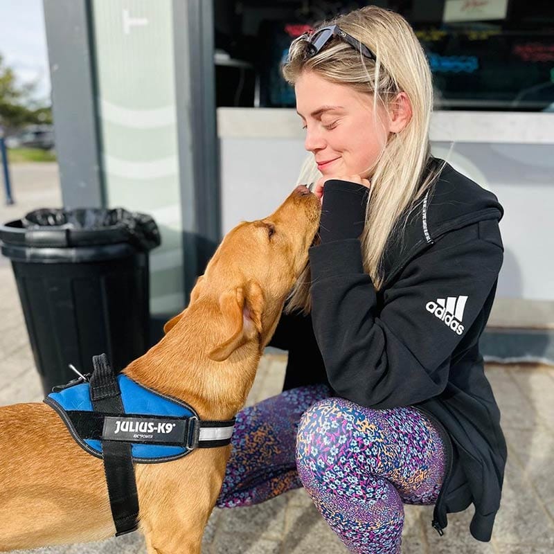 dog friendly places to eat swansea