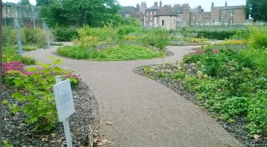 Edible Wood York Museum Gardens