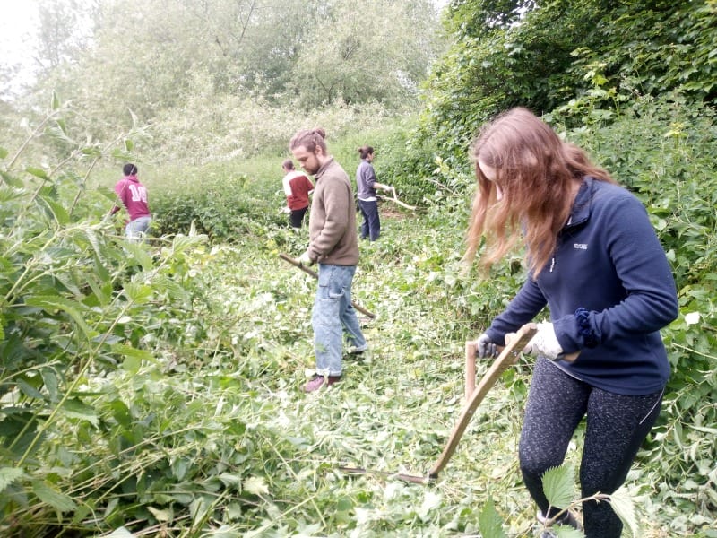 St Nicks York Facebook - volunteering activities in York for students