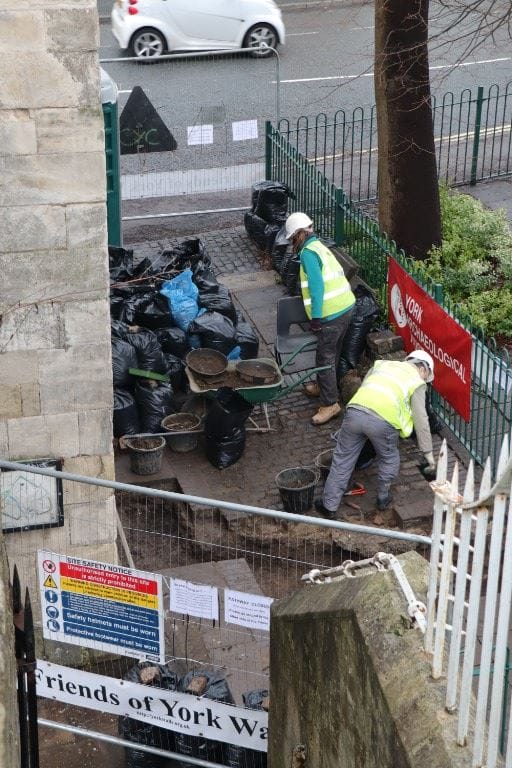 York City Walls Volunteer
