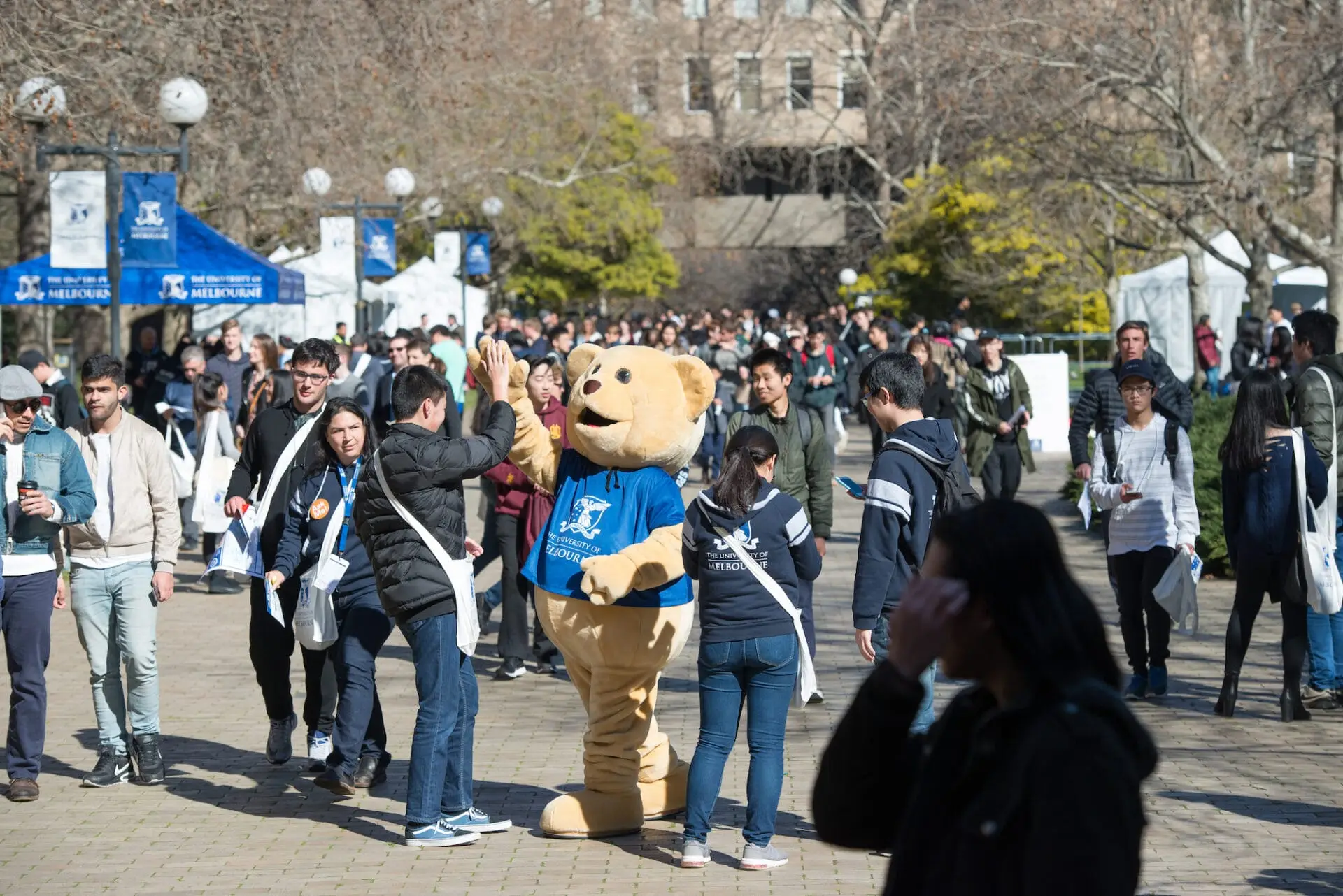 Is there any point in going to a university open day?