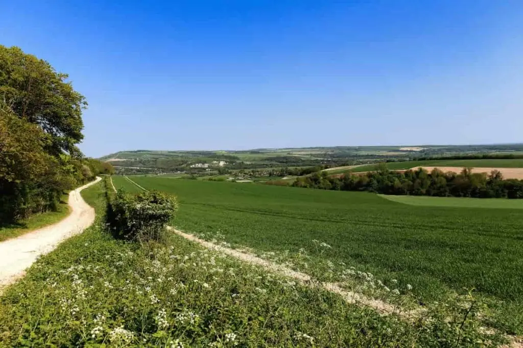 South Downs National Park