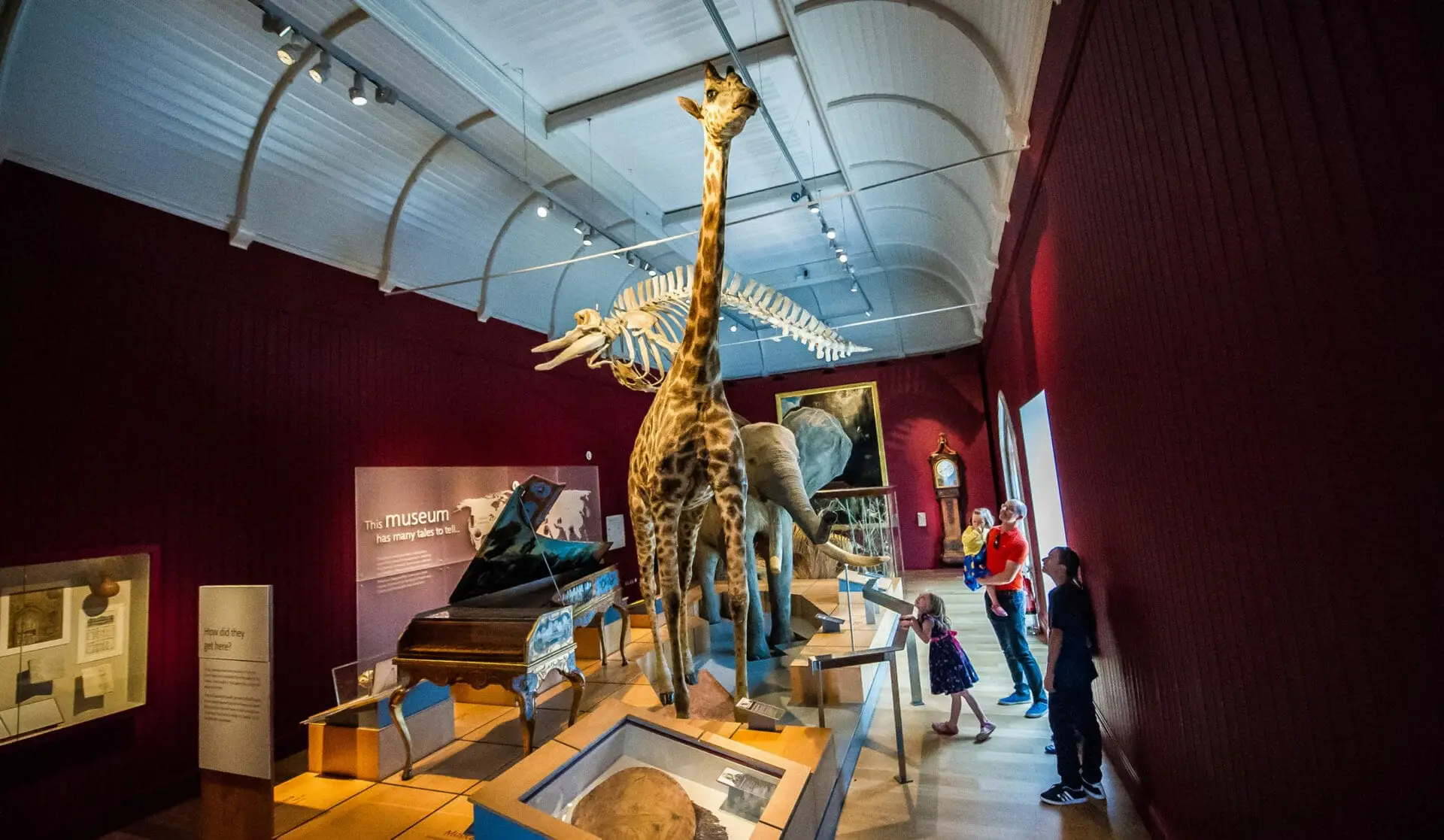 the best things to do in exeter for free the best things to do in exeter for free