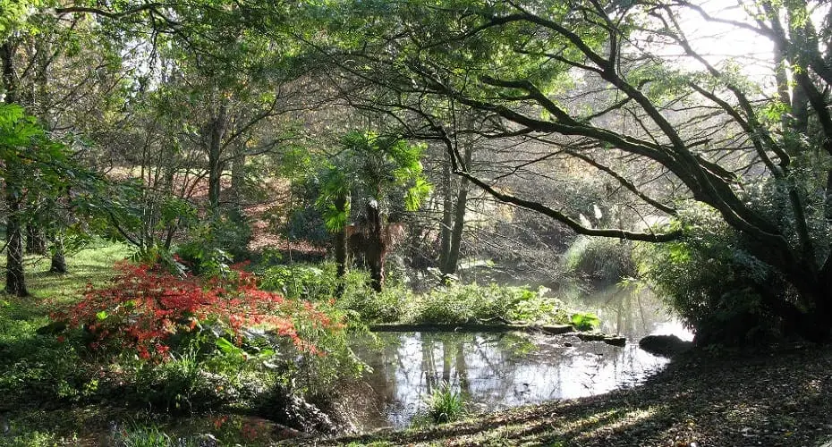 the best things to do in exeter for free