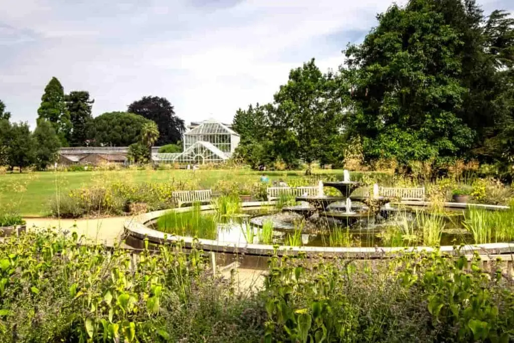 Cambridge University Botanical Gardens