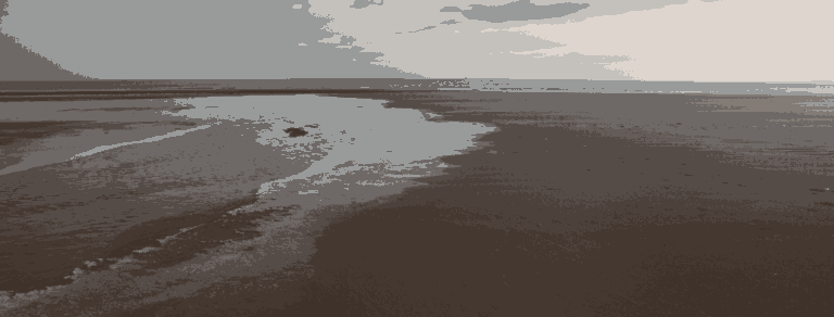 Tentsmuir Forest - free things to do in Dundee