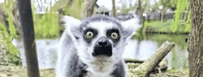 Shepreth Wildlife Park